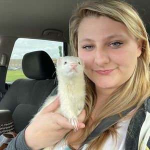 Meet your Posher, Raegen